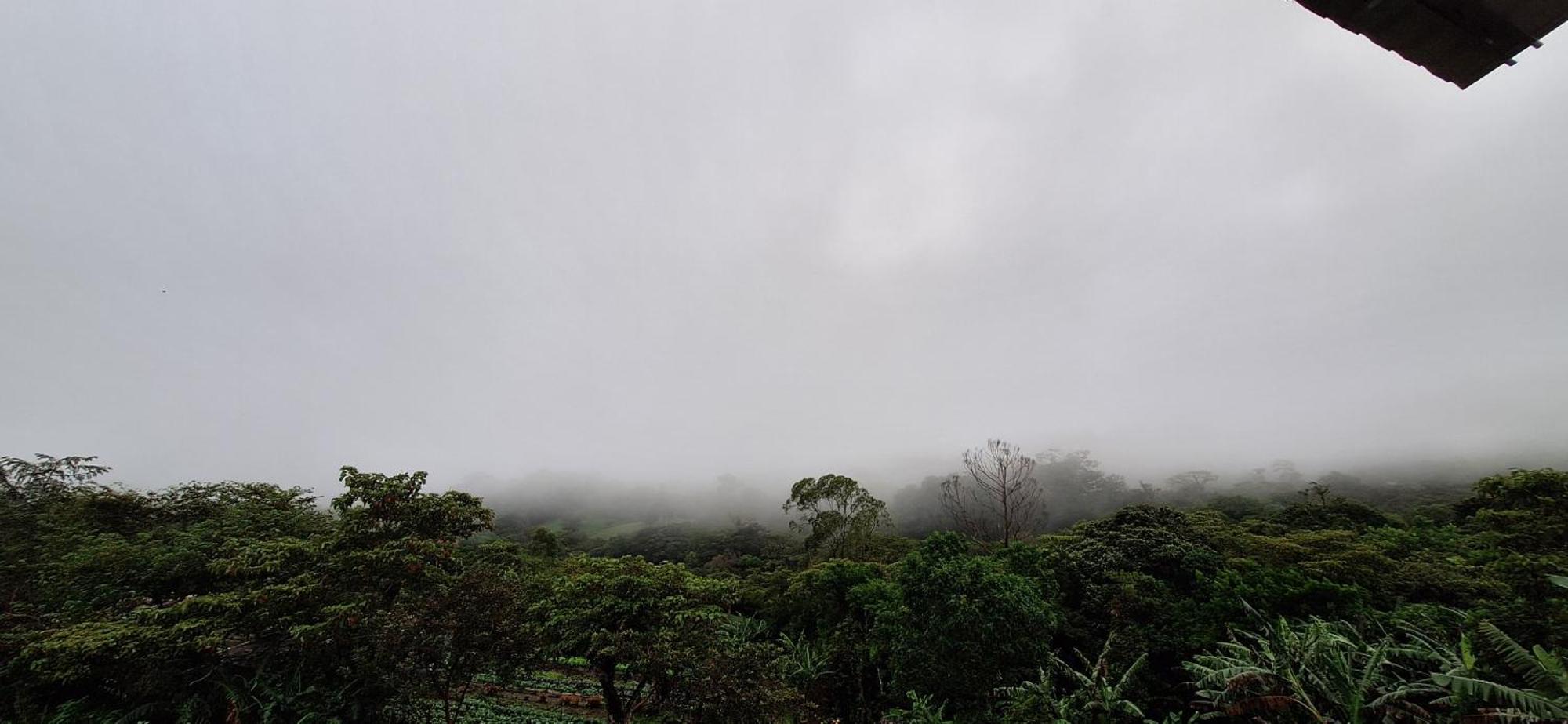 Monteverde Cecropia Paradise Apartment Room photo