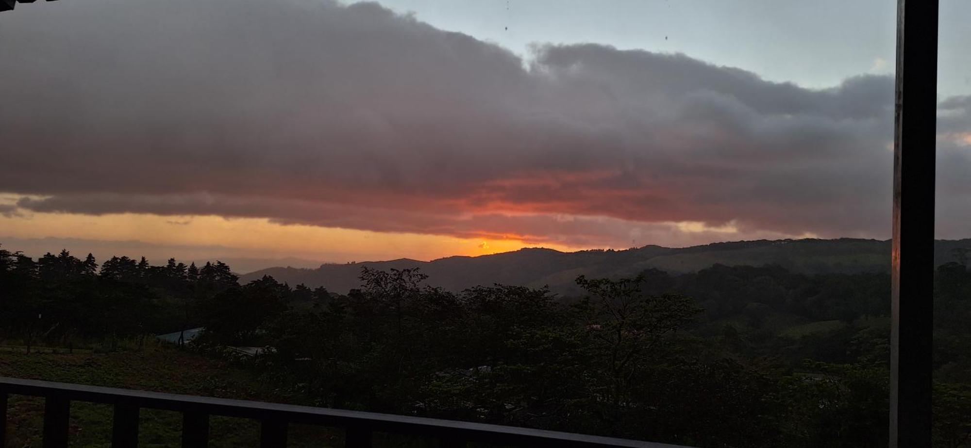 Monteverde Cecropia Paradise Apartment Room photo