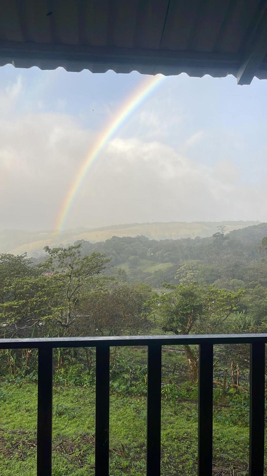 Monteverde Cecropia Paradise Apartment Room photo