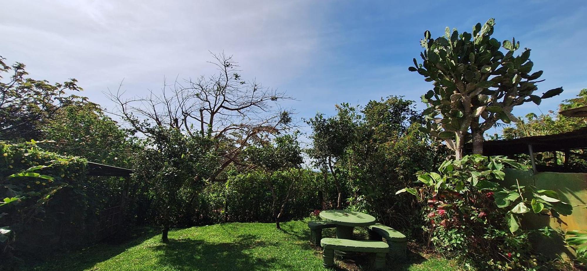 Monteverde Cecropia Paradise Apartment Room photo