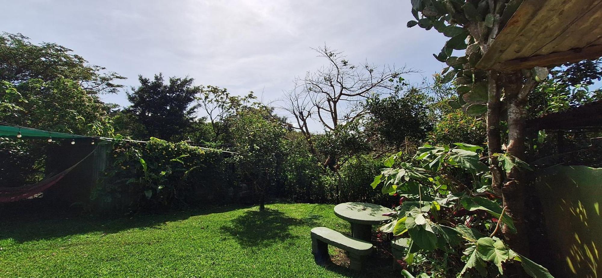 Monteverde Cecropia Paradise Apartment Room photo